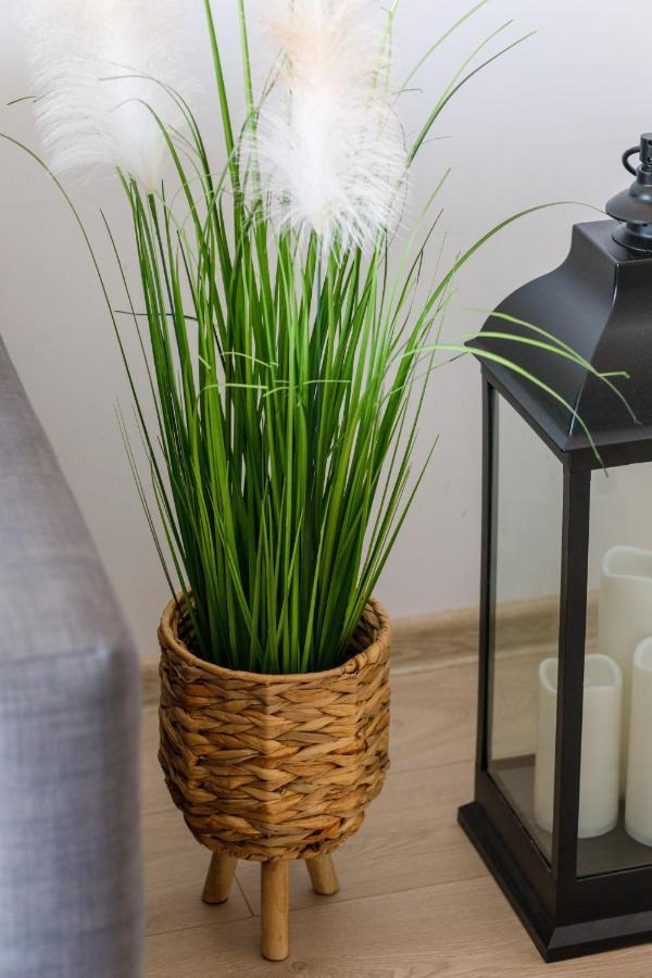 Osiedle Feniks By Renters Apartment *